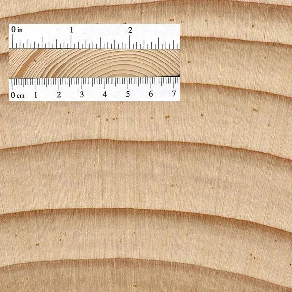 Adirondack“高”不可攀的木材插图3蓝致乐器产品资料