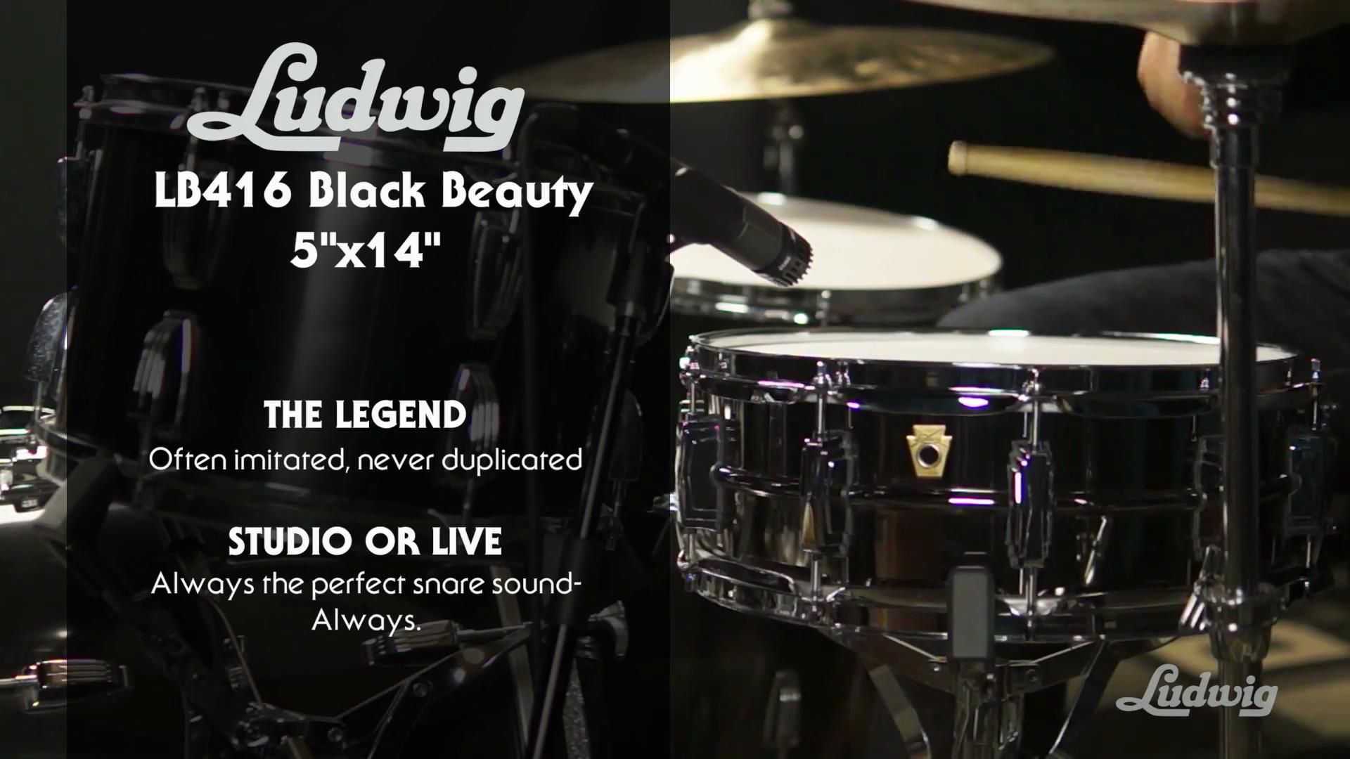 视听：Ludwig LB416 5×14 Black Beauty 系列军鼓 | 『蓝致乐器』