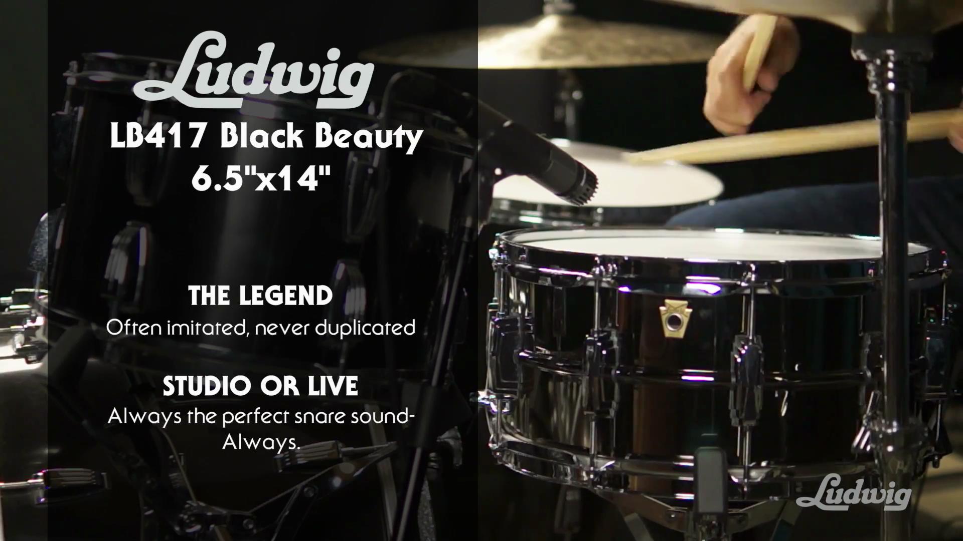 视听：Ludwig LB417 6.5×14 Black Beauty 系列军鼓 | 『蓝致乐器』