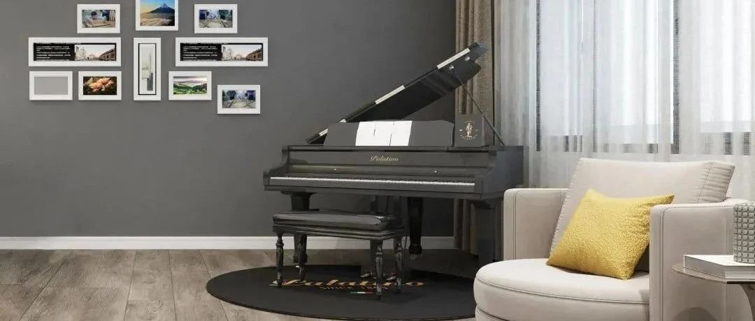 如何挑选出高品质的钢琴？缩略图蓝致乐器产品资料